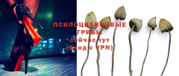 PSILOCYBIN Беломорск