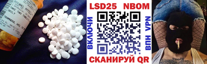 MEGA зеркало  Дорогобуж  Лсд 25 экстази кислота 