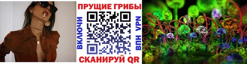 Псилоцибиновые грибы MAGIC MUSHROOMS  цены   Дорогобуж 